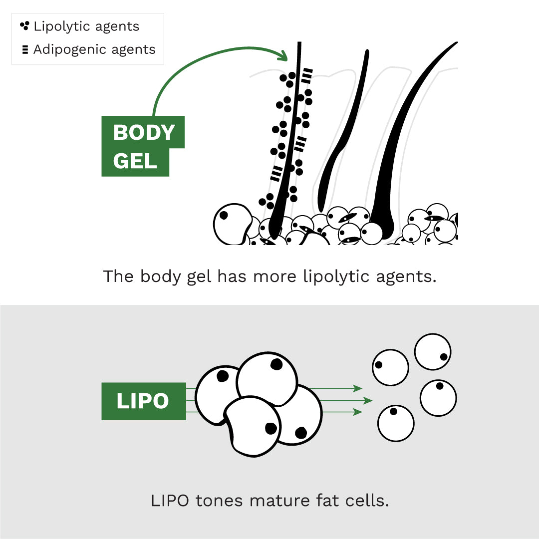 Adipeau  Strong Body Gel